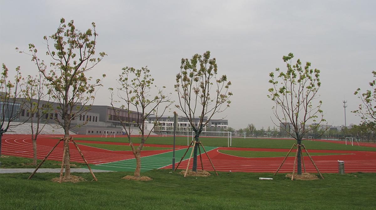 代表项目苏州高等幼儿师范学校项目